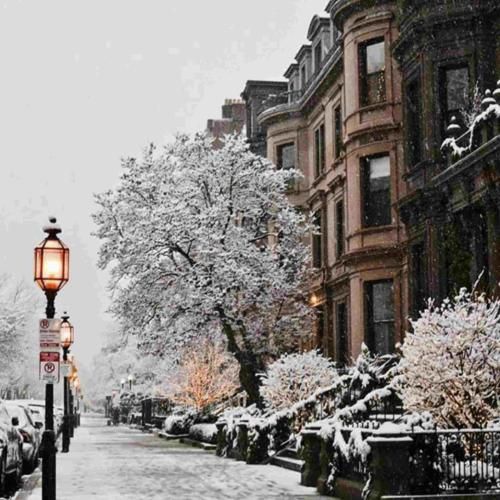 هوسمی قفسمی نفسم انقد نکن منو عصبی