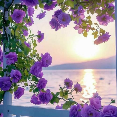 جان مریم چشماتو باز کن با صدای زن