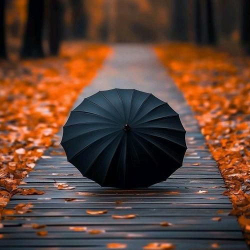 دخترو گلفروش ناتلنگی مکن یه دقیقه