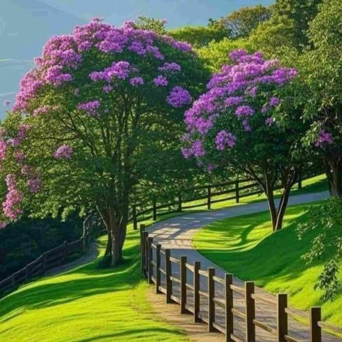کفتره کشته پروندن نداره رو خاک