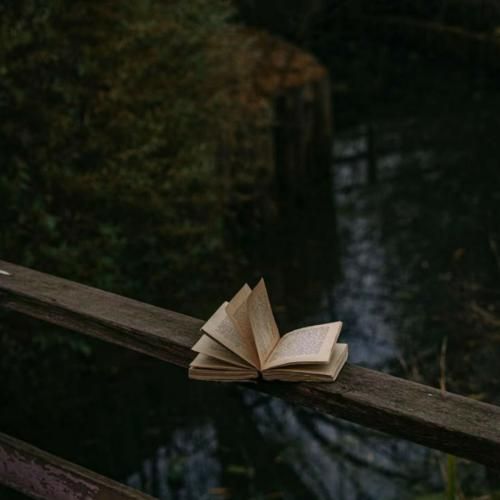 دیدم فرشته عذابم را جواب انتخابم را با صدای زن