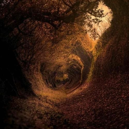  هانیه گول هانیه که‌له‌رمی سلیمانیه