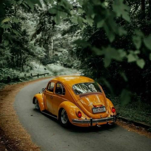  هی آبادی مسموم برج بلندتو اوج تباهی بود – ترند اینستا