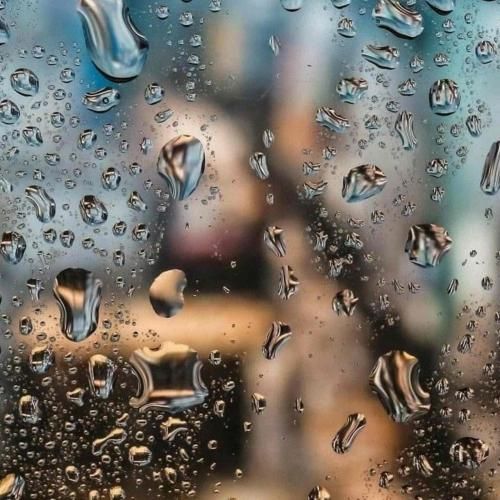 یاد تو گل کرده تو باور خونه – هوش مصنوعی