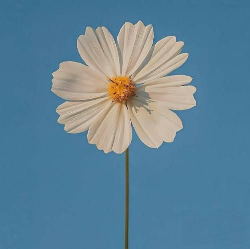 گفتی به من غصه نخور میرم و بر میگردم