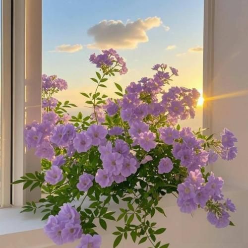  بهار اومد شاخه ها شکوفه بارون شدن