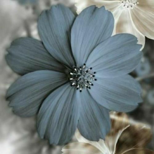  چیکار کردی با دلم وای بذار بره اگه میگه بهتر من