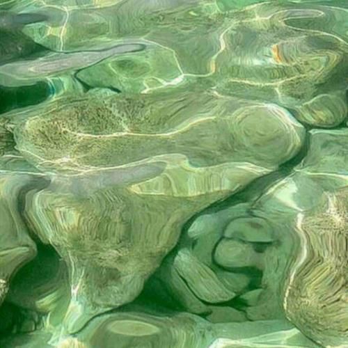  سلطان قلبم تو هستی تو هستی دروازه های دلم را