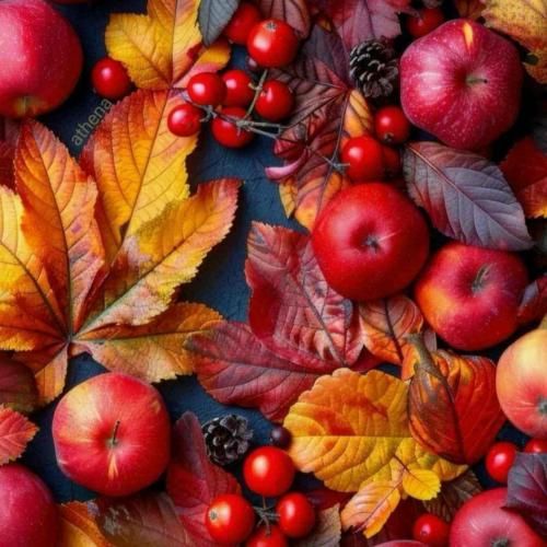  شب بیا توی ترپ خونه سر تسلیحات بگو