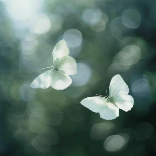 گوشیم تو شارژه جز همه وقتا که هست روی سایلنت