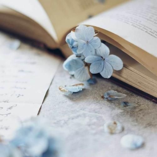  من مثل آب روونم تو مثل شاخه بیدی