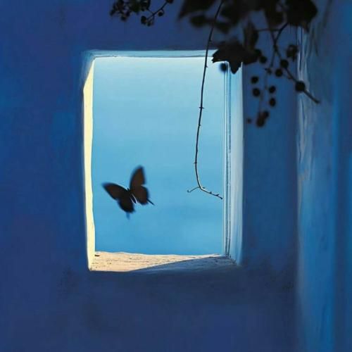 دشی بگو که عاطفت کو تا بودی مهربونم