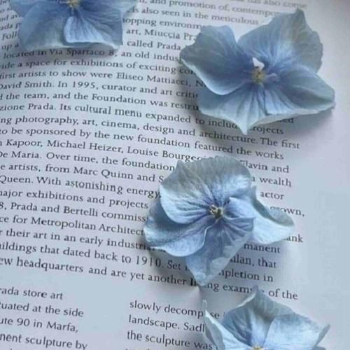 میخوام تا تهش همه چی با تو جلو بره