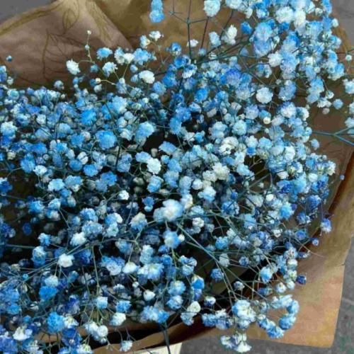  عسل چشم نگام کن شیرینه نگاهت