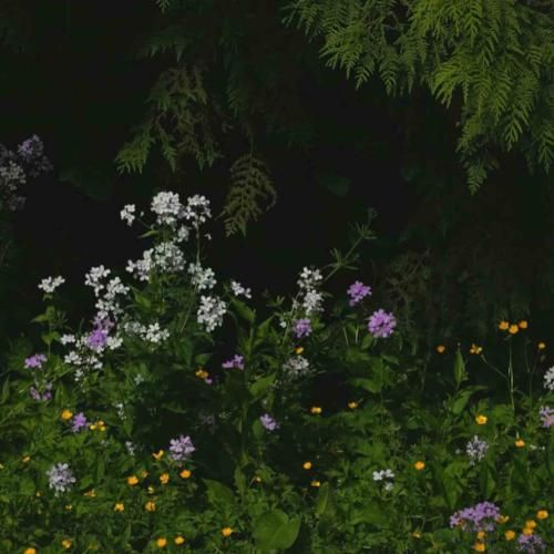  به چشم های تو سوگند که عشقت واسه من رنگ جنون