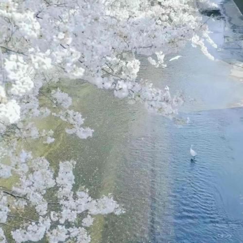  اشک های شوق توو چشم هام که یارم میاد