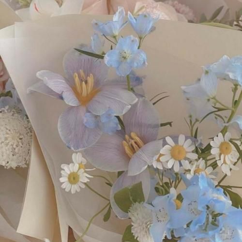 اوکی لتس دانس نمی دیم آوانس