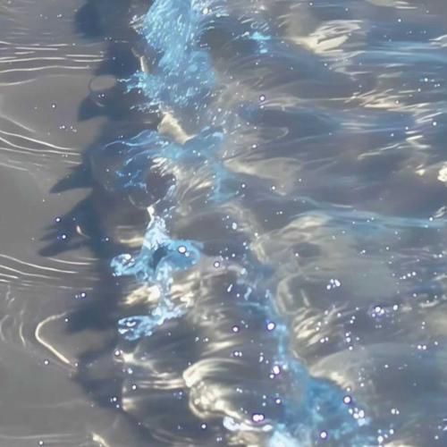  سیارمو میگردم کسی نمیدونه دردم – هوش مصنوعی