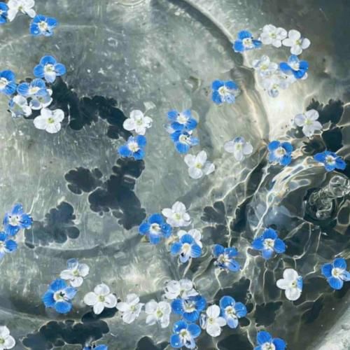  دورم می کنی مجبورم میکنی پا پیچت بشم – هوش مصنوعی