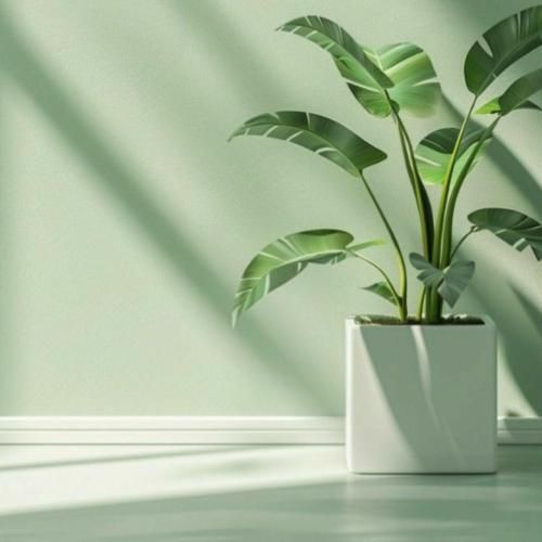  شده لیوانم خالی میخوام دکورتو بیارم پایین