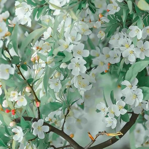  دلم گرفت چقدر بگم که رمز قلبم دستته