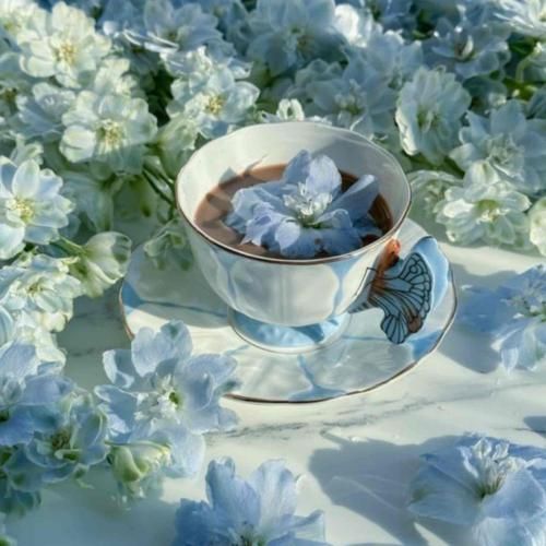  اگه برگردی پیشم واست پروانه میشم پای دردات میشینم