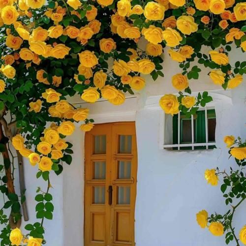 اگه با زید قبلی تموم کردی برو بعدی