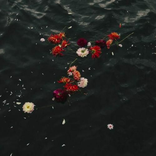  پس از تو روح سرگردان موجم هنوزم تشنه ام دریا به دریا