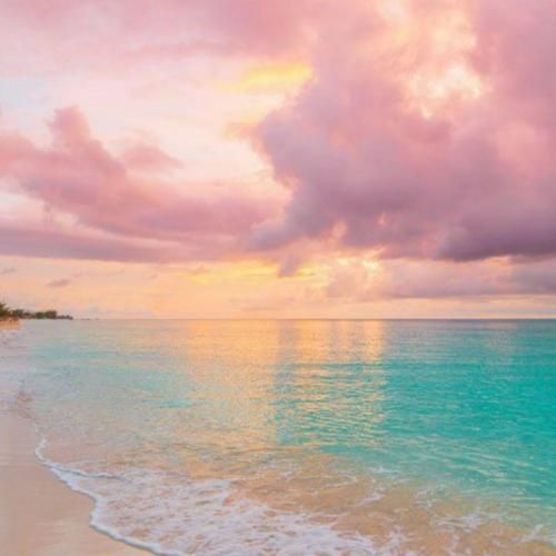 جوری دیوونم که ازم پیروی میکنن تیمارستانیا