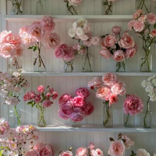 عجب دریای سحر آمیزیه غمای عالم