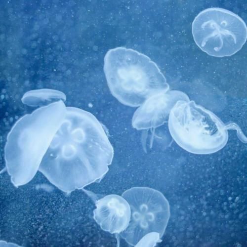 کاشکی اسمت باران بود