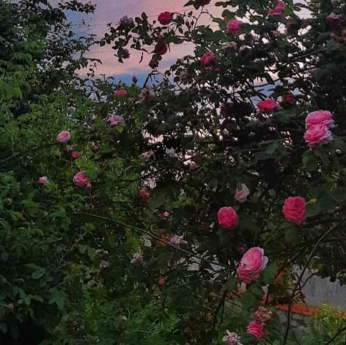 صبح روز های شنبه آفتاب یه جور دیگست