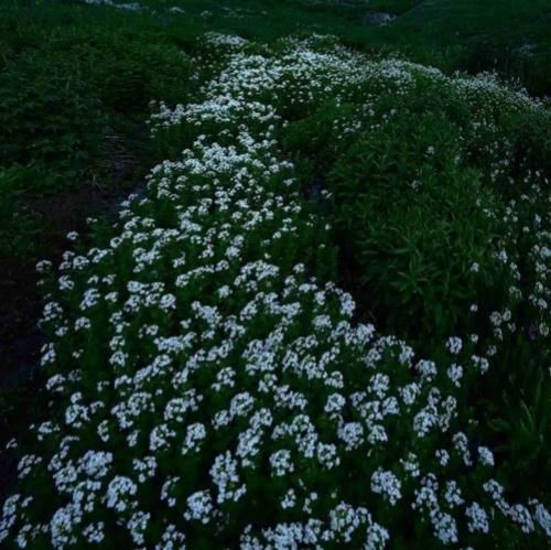  دکتر یکم دیره برا این حال بدجوری پیله