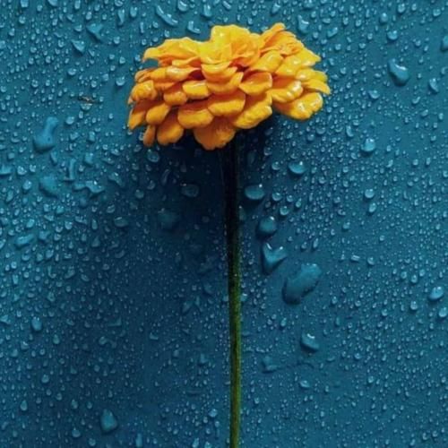  از اولین جملت فهمیده بودم زود