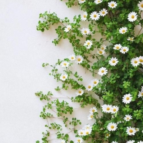 بچه برگرد بیا نجاتم بده زودتر بیا به دادم برس