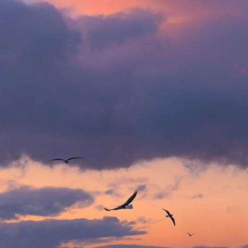 چقدر مثبته فازت من پی فرصت تازه دافی میخواد