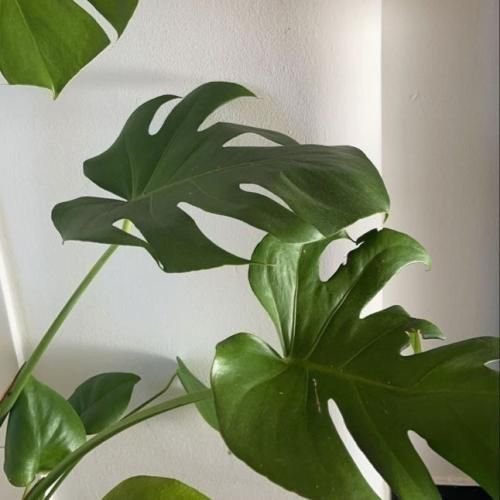  آخرین دیدارمون یادته من یادمه گریه کردم