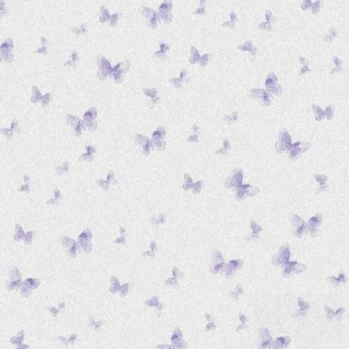 همیشه پیش حسود جماعت سایلنتم زبون ندارم