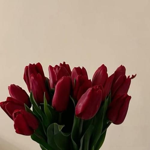 مثل جزیره وسط دریا هیشکی نمیدونه که من چقدر تنهام