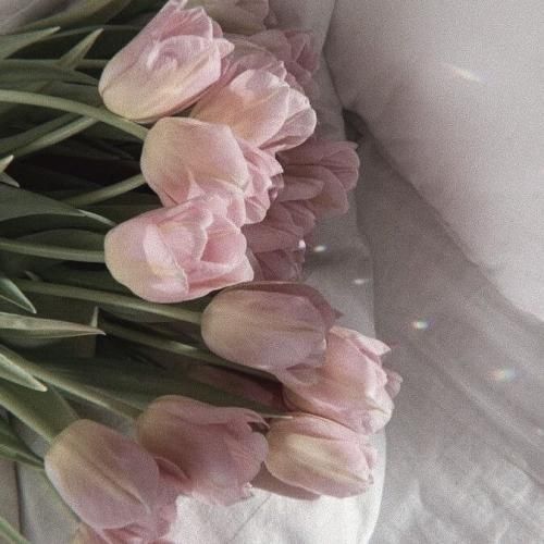 کاش میشد تو خونم بودی روحم بودی