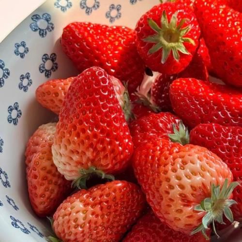 باور نکن اگه گفتم بیبی حالم خوبه تو از وقتی