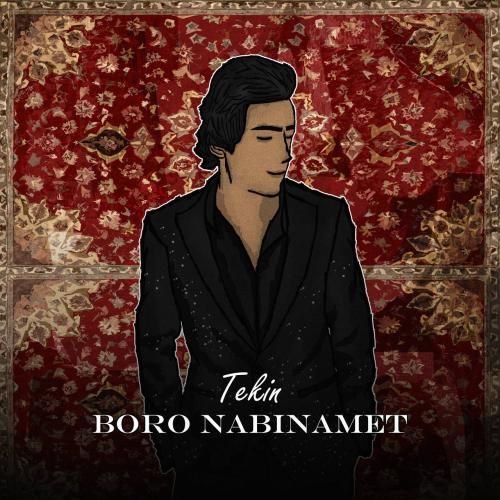 تکین برو نبینمت