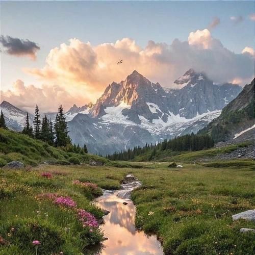 اخت بگیر با این حال مزمن همه داریم پیر میشیم