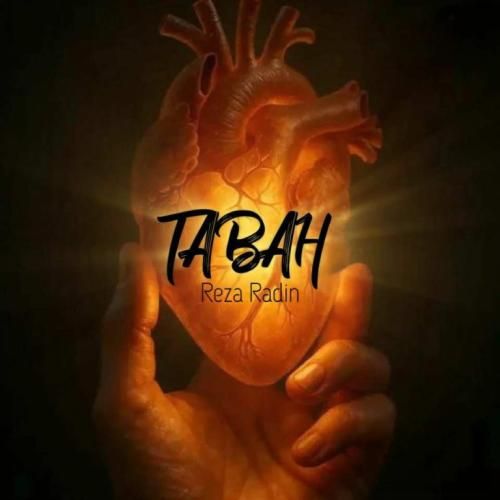 رضا رادین تباه