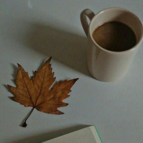 میشه واست دلم تنگ سر صبح جمعه ببین