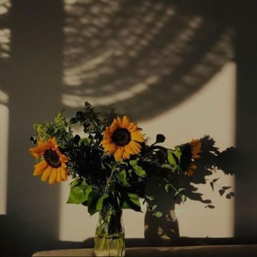 دانلود آهنگ جدید چرا بد میشن برا ما همه نمیدونم شایدم از دل سادمه