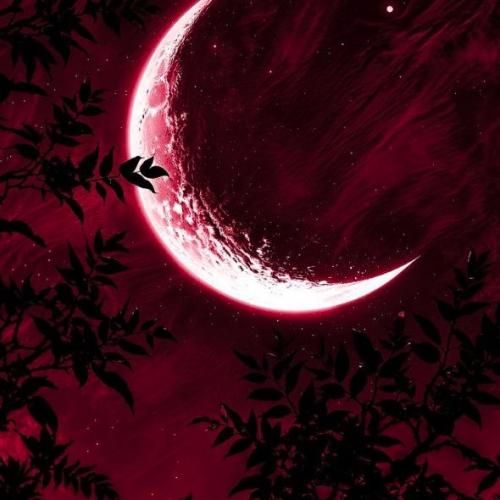  یادت نره مال منی امشبو به یاد منی