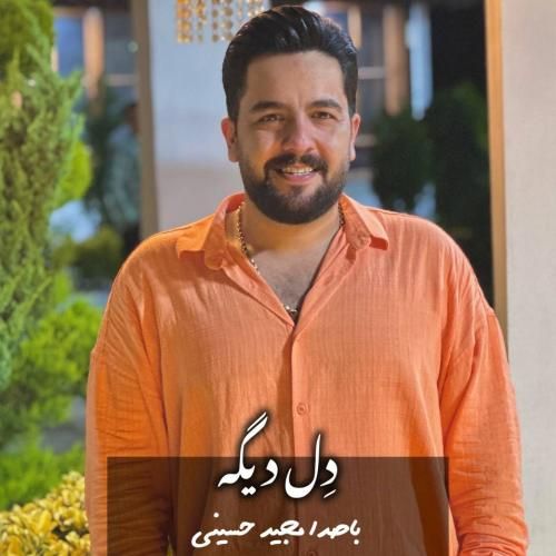 مجید حسینی دل دیگه