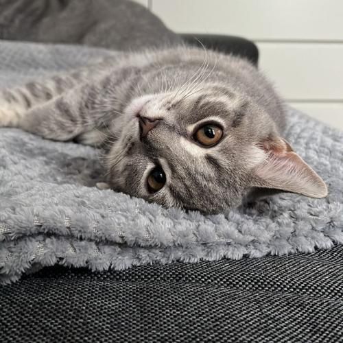  پیاله پر شده از این گناه بی دلیل این سقوط آدمی