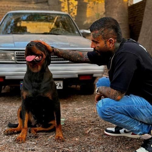 دانلود آهنگ جدید یکی نیازمه از مهدیار دانلود آهنگ جدید یکی نیازمه از مهدیار